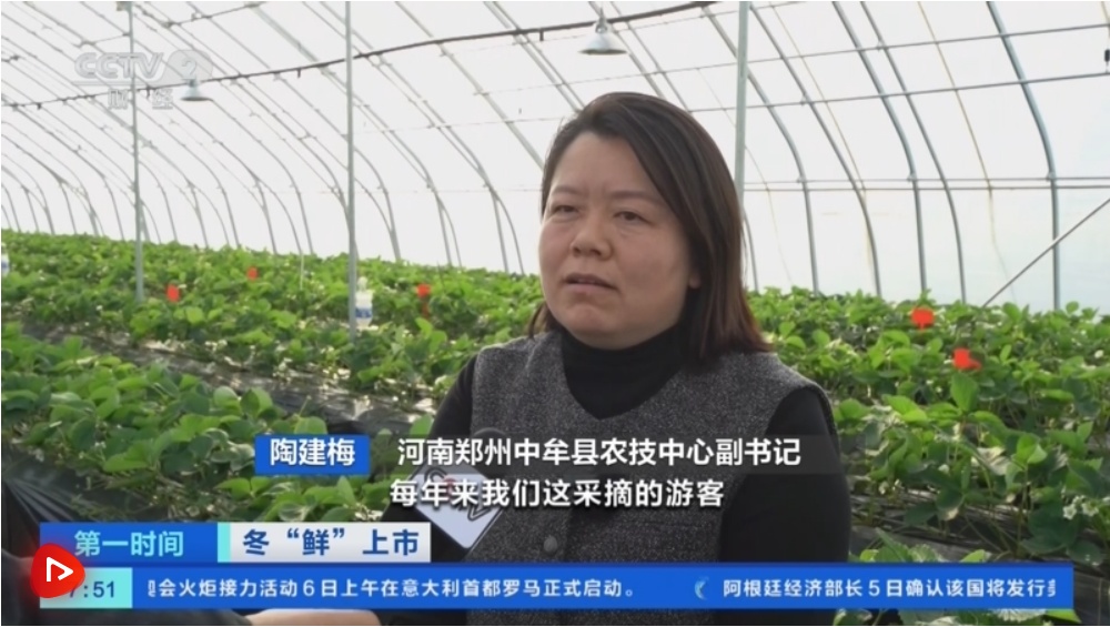 “鲜”冬季产品上市丰富“果盘”“肉箱”，立