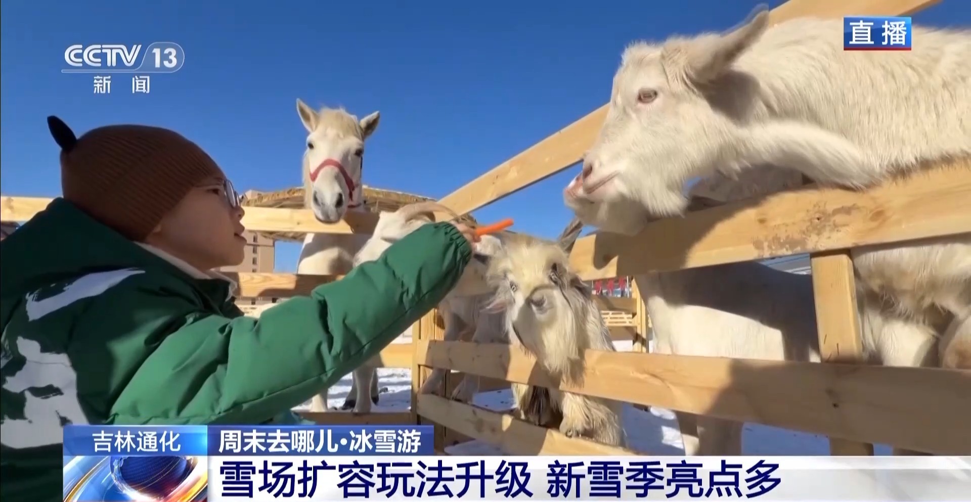 视频 |周末去哪里？滑雪场“开放”，你可以享受