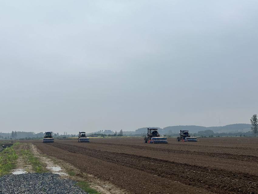 秋冬播正当时 云梦县清明河乡“三精一抗”新技术为小麦提质效