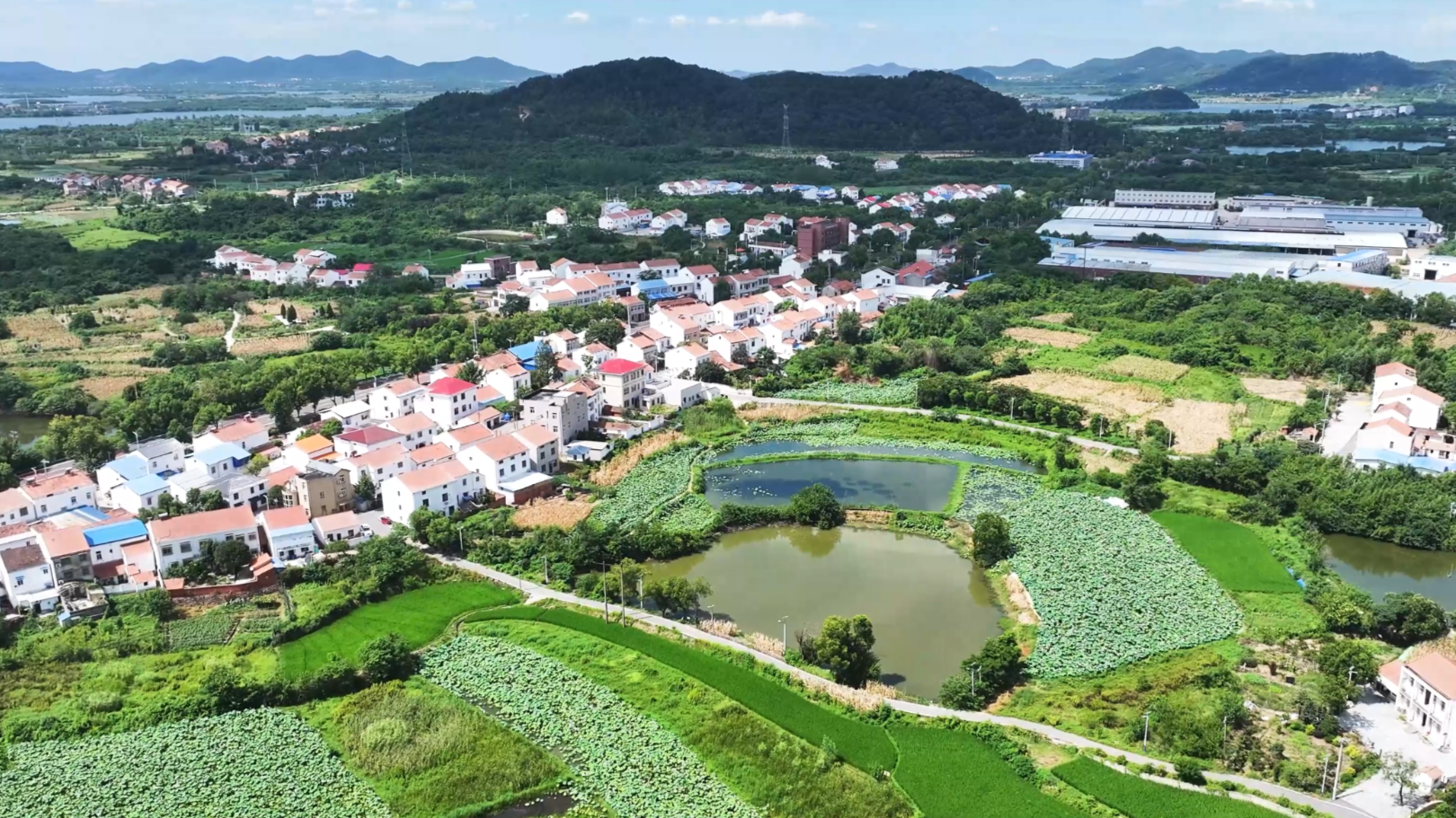 新的田园诗|荒山再绿，游客聚集，产业融合致富