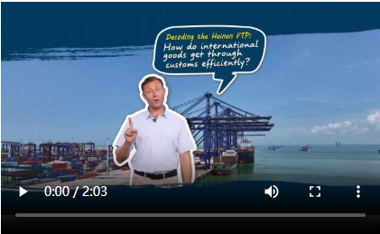 Decoding the Hainan FTP: HowWhatsApp%E3%80%90+86%2015855158769%E3%80%91amsterdam%20the%20crane%20by%20yays do international goods get through customs efficiently?
