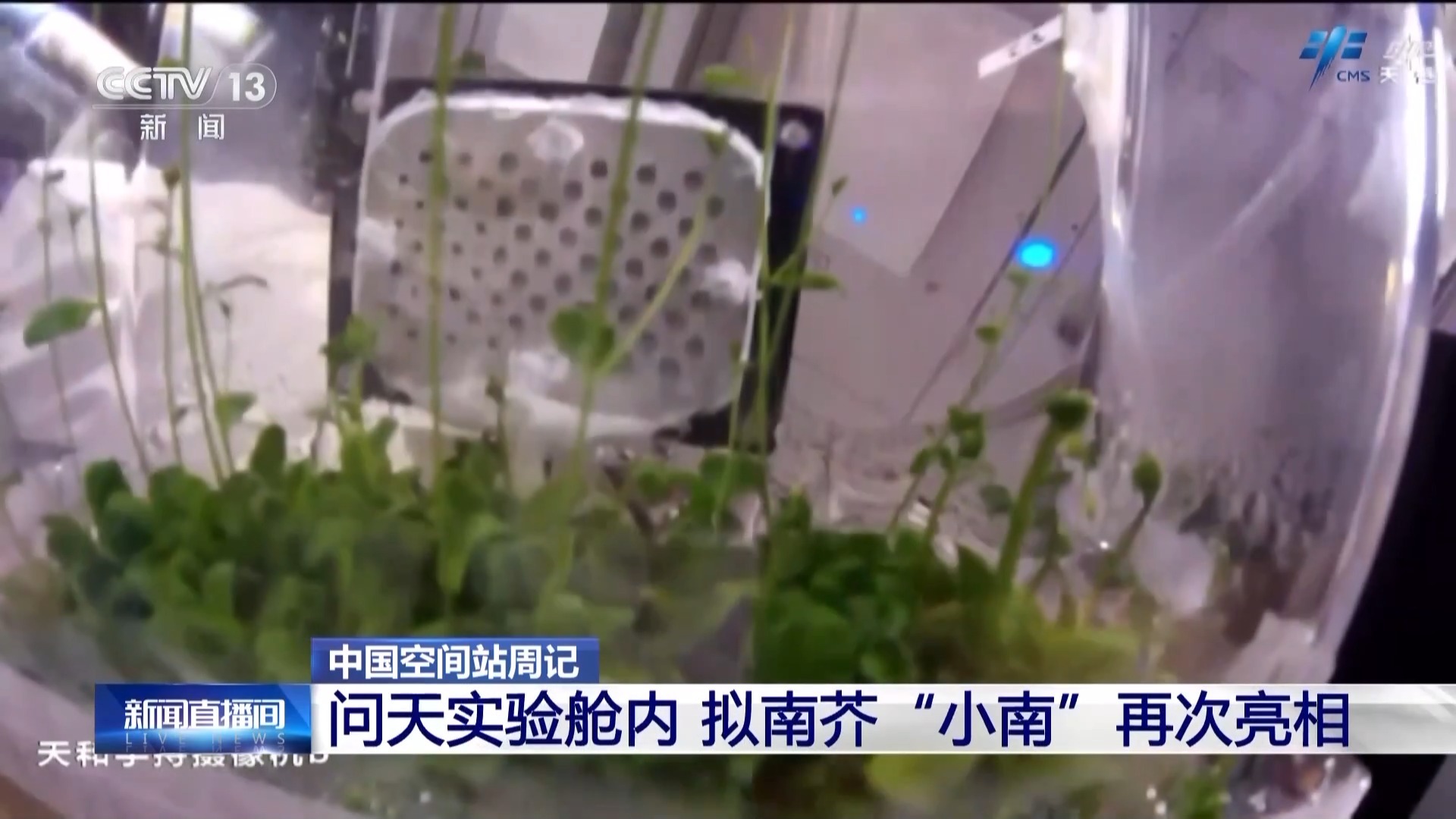 视频丨“出差”已经快两