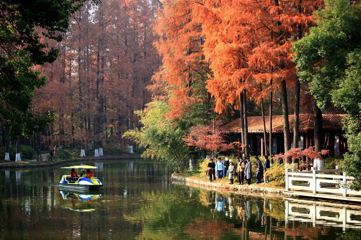 京广高铁旁的青山公园就像一幅浓墨重彩的油画