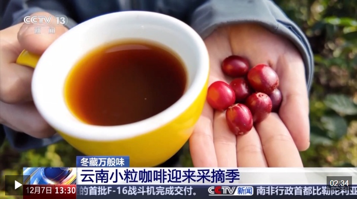 视频丨1粒豆子和1粒橙子。