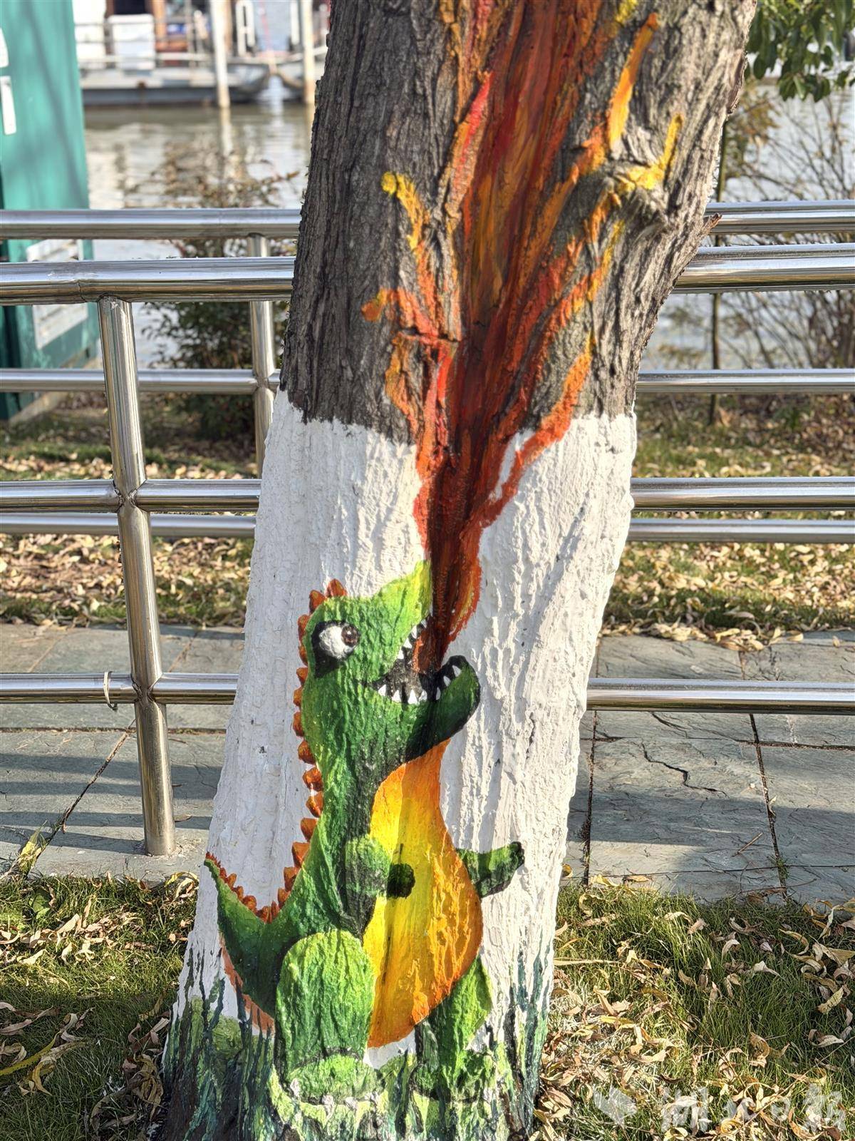 东湖绿道两旁的大树手绘“妆容”迎接新年