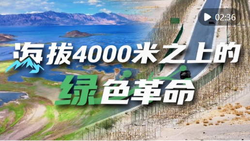 “高冷”经济看发展｜绿意攀高！海拔4000米之上的绿色革命