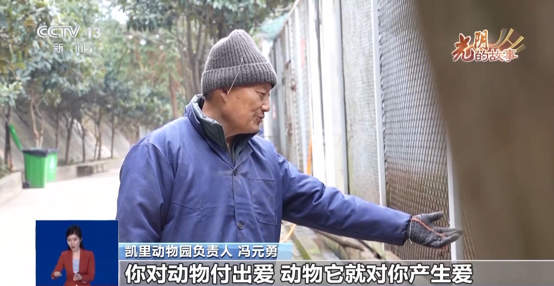 光阴的故事丨从默默无闻到圈粉无数山林角落的“袖珍动物园”成了远近闻名的打卡地(图2)