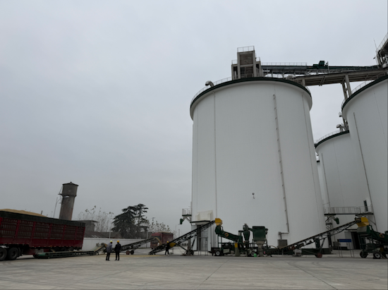 荆州中央储备粮直属库秋粮收购有序进行