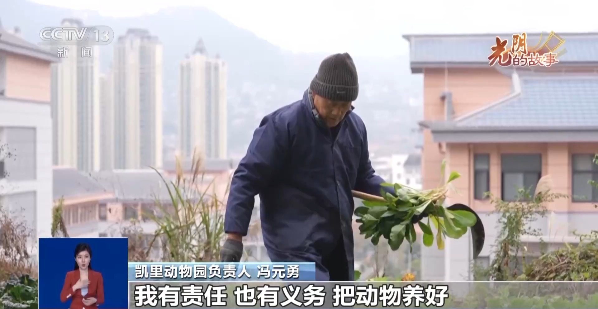 光阴的故事丨从默默无闻到圈粉无数山林角落的“袖珍动物园”成了远近闻名的打卡地(图5)