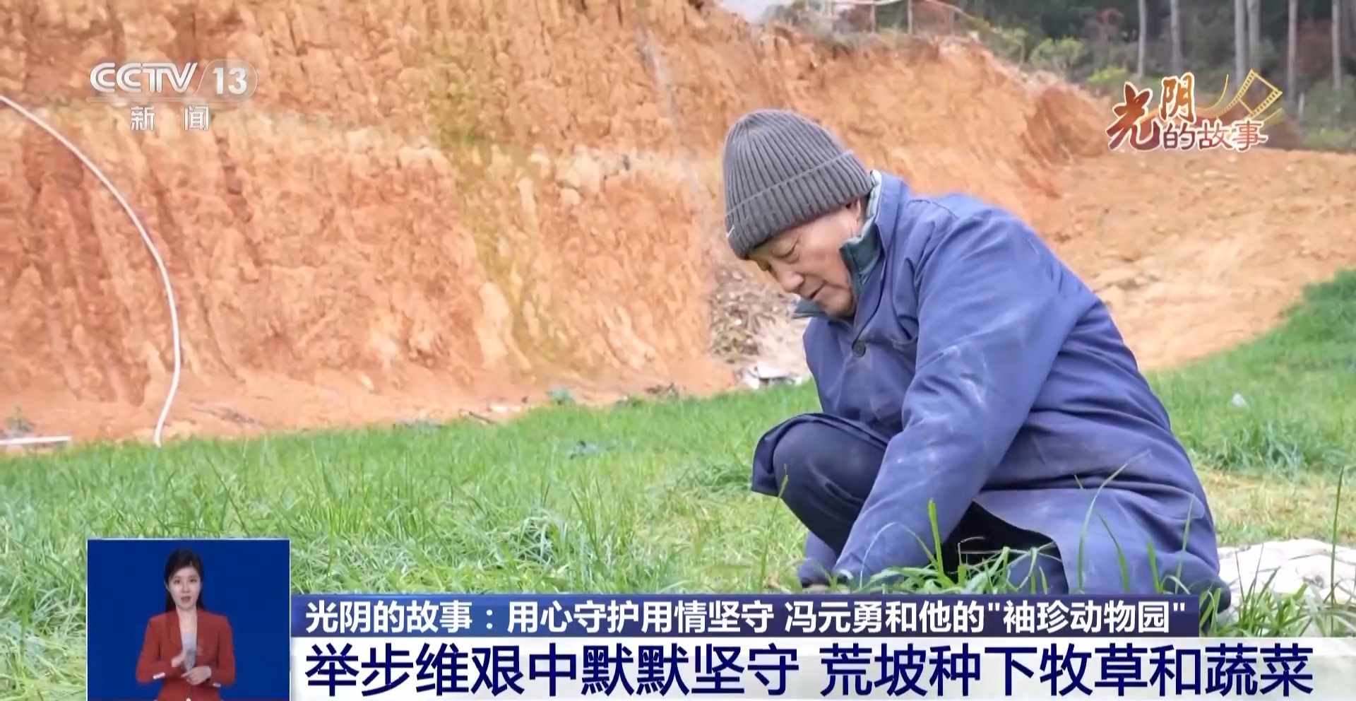 光阴的故事丨从默默无闻到圈粉无数山林角落的“袖珍动物园”成了远近闻名的打卡地(图4)