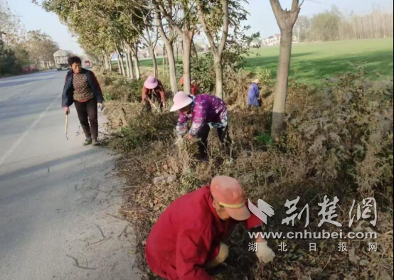 钟祥市文集镇：“清洁家园”在行动 全民共建美乡村