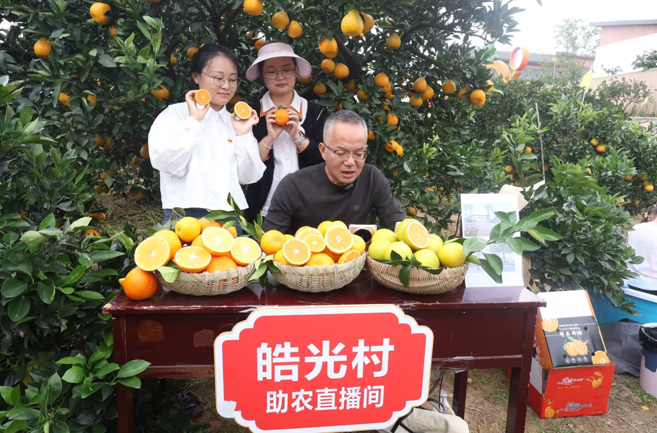 从“篮子里卖”到“云端呐喊”，宜都“电商快