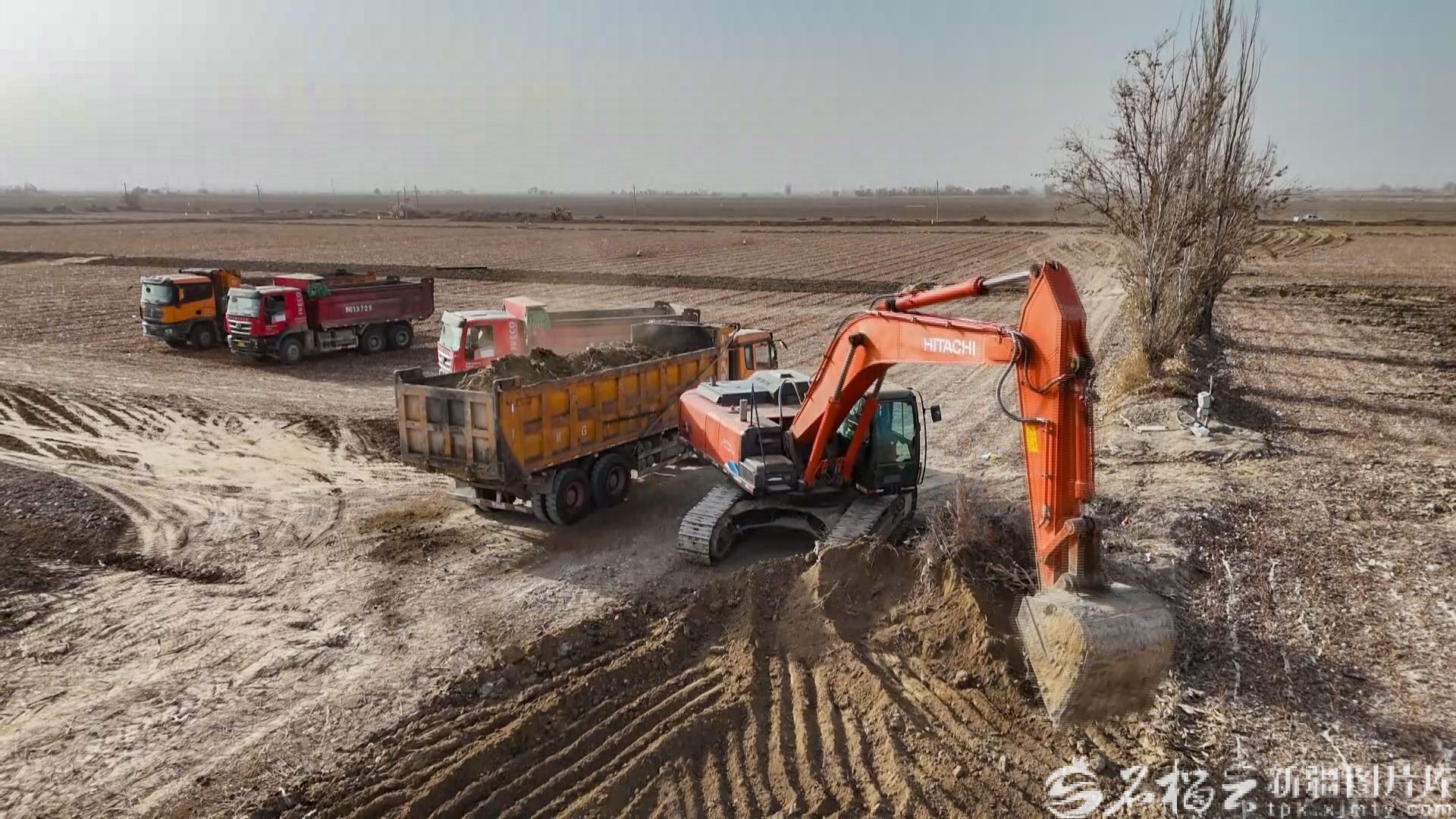 空旷的田野涂上了新的风景，农田变成了良田