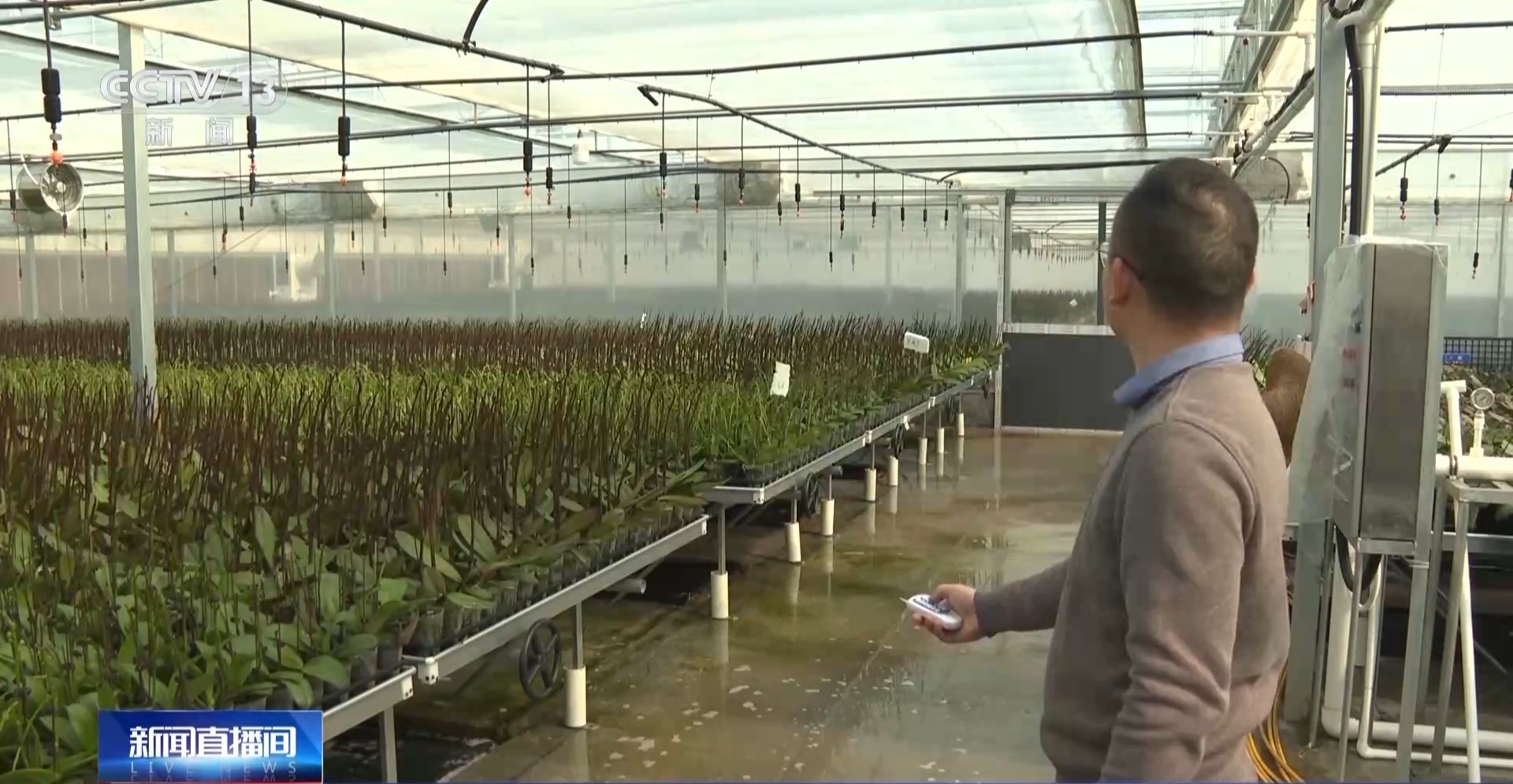 视频丨马年备货开始！创意