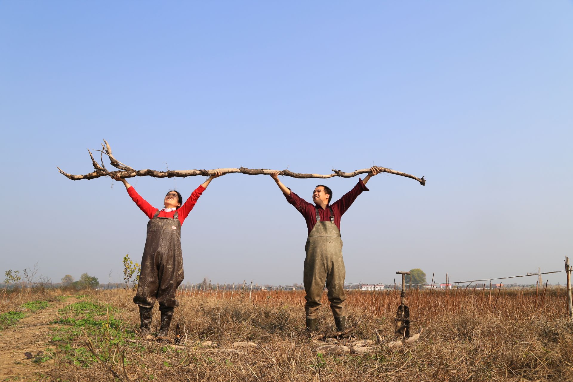 “九大”以“丰收”赋能农业产业，平安