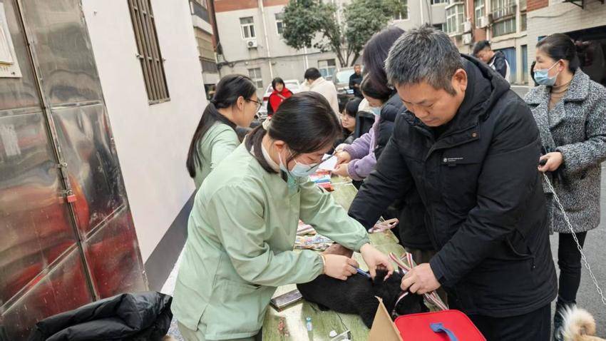 文明养犬“绳”记心间 民主社区这场活动暖又实