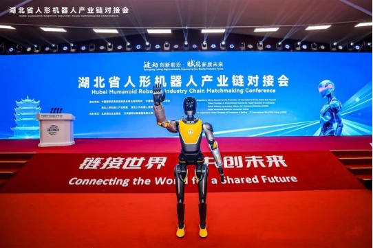 2025年武汉市人工智能十大创新产品揭晓!(图11)