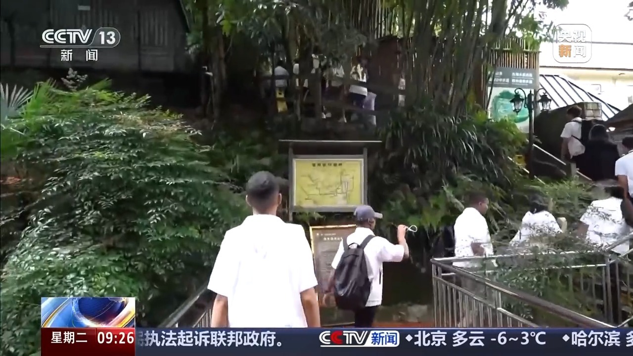 丨闻药香、学康养ChinaTravel解锁消费新场景(图5)