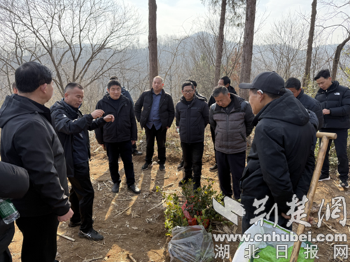 湖北省专家团队到京山开展油茶种植培训