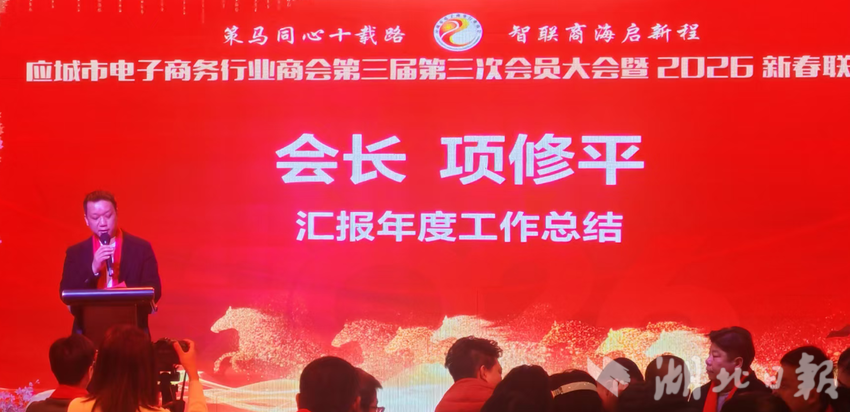 应城市电子商务行业商会扎根乡土服务地方促发展