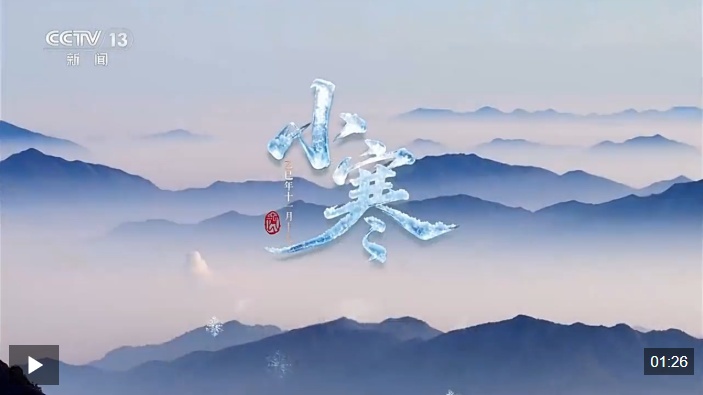 文化中国行丨二十四节气·小寒 梅绽小寒枝头 大雁渐次北归