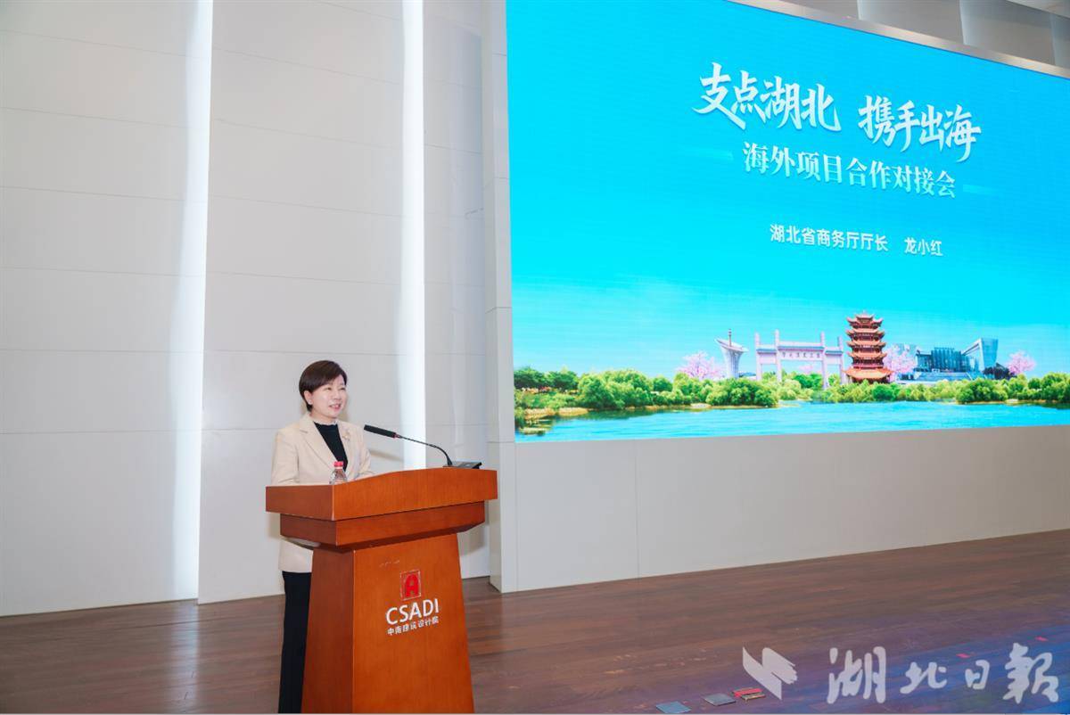  “湖北舰队”抱团出海 去年对外承包工程营业额中部第一