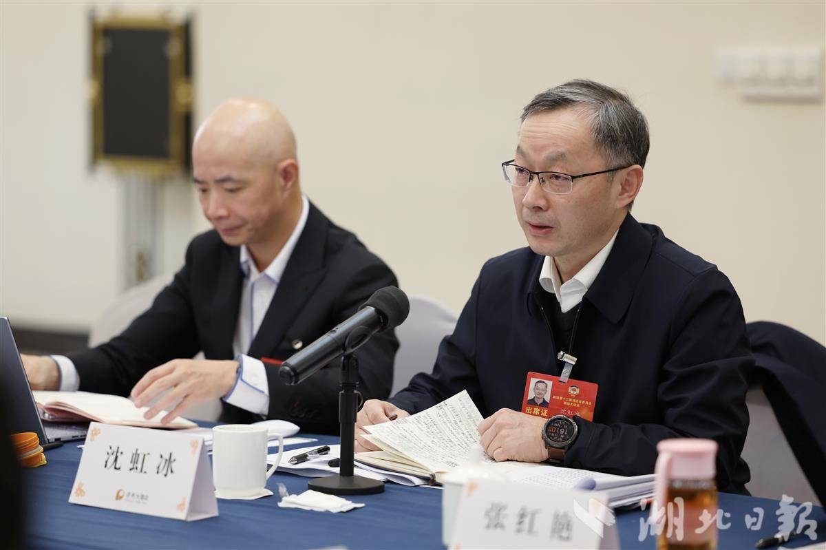 湖北省政协十三届四次会议举行小组会