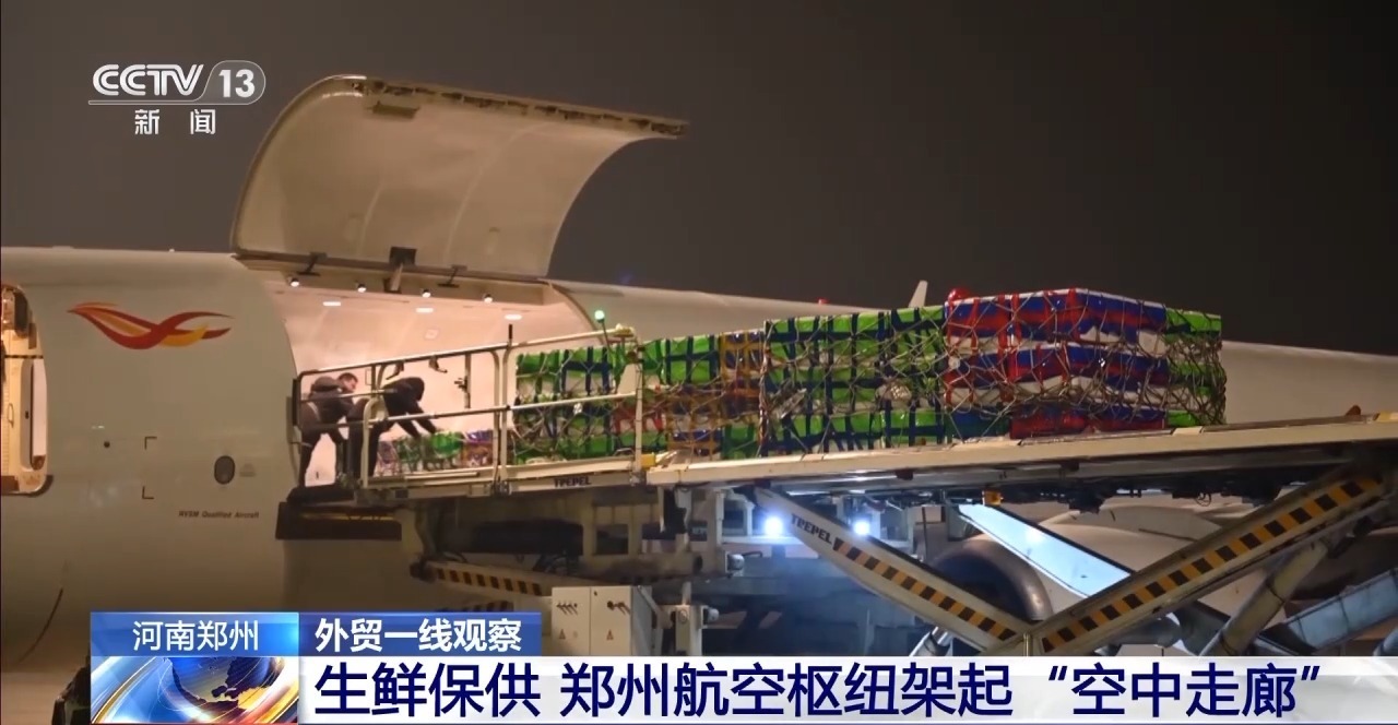 视频丨多式联运织密物流网 郑州推动“内陆节点”跃升为开放前沿