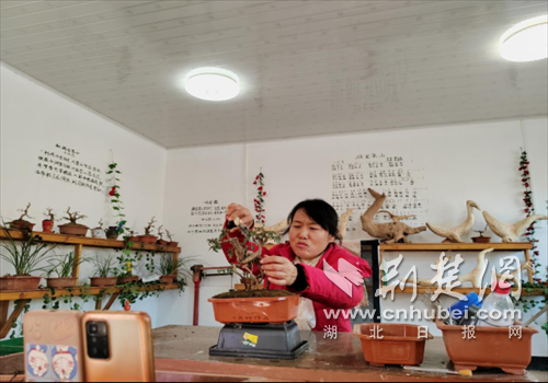  京山市龙泉山村：支部搭台直播带货 土特产品走出深山