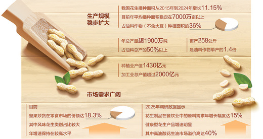  “国民坚果”花生是怎样“进化”的？