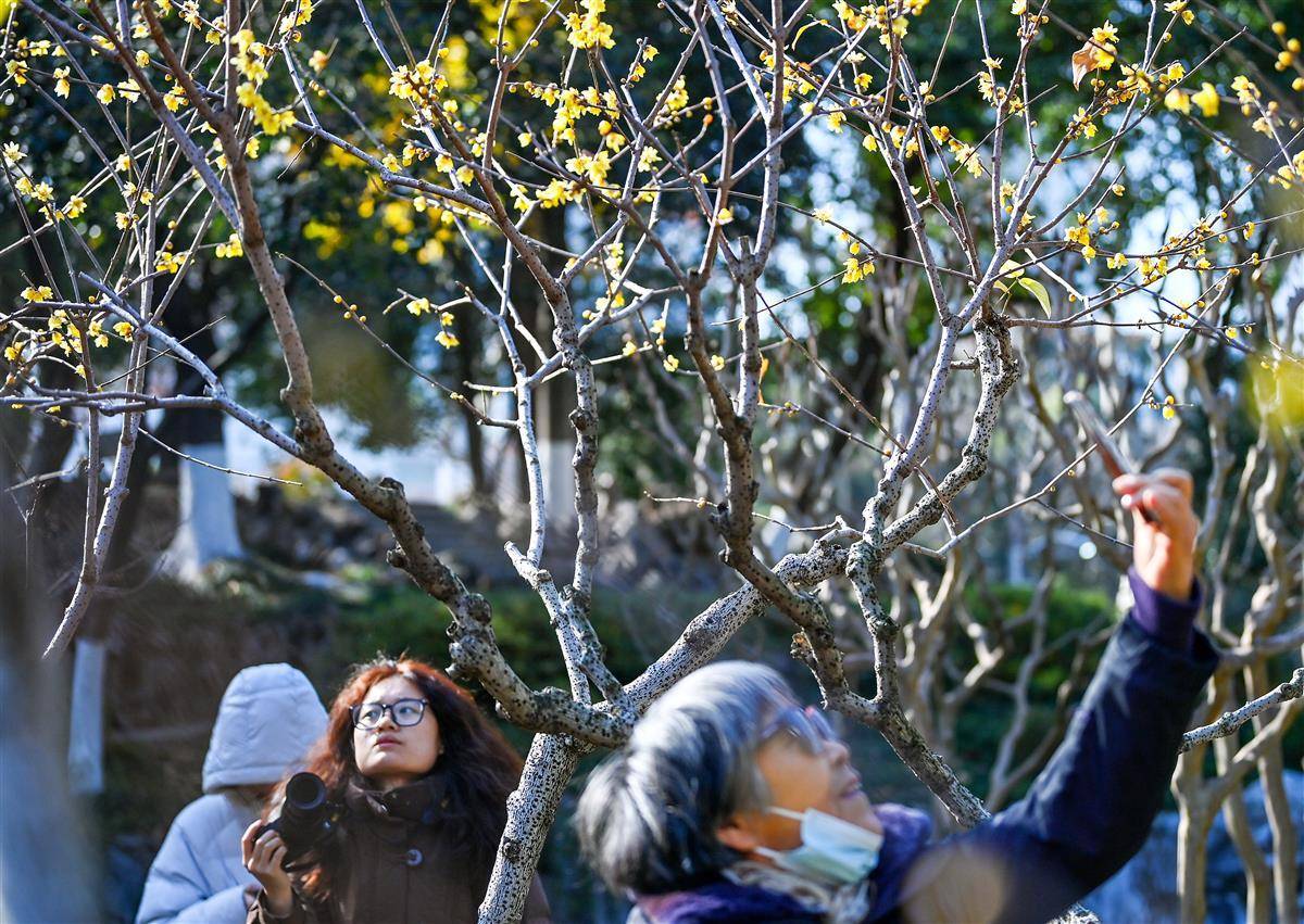 翻译错误：解析值时遇到意外字符：&lt