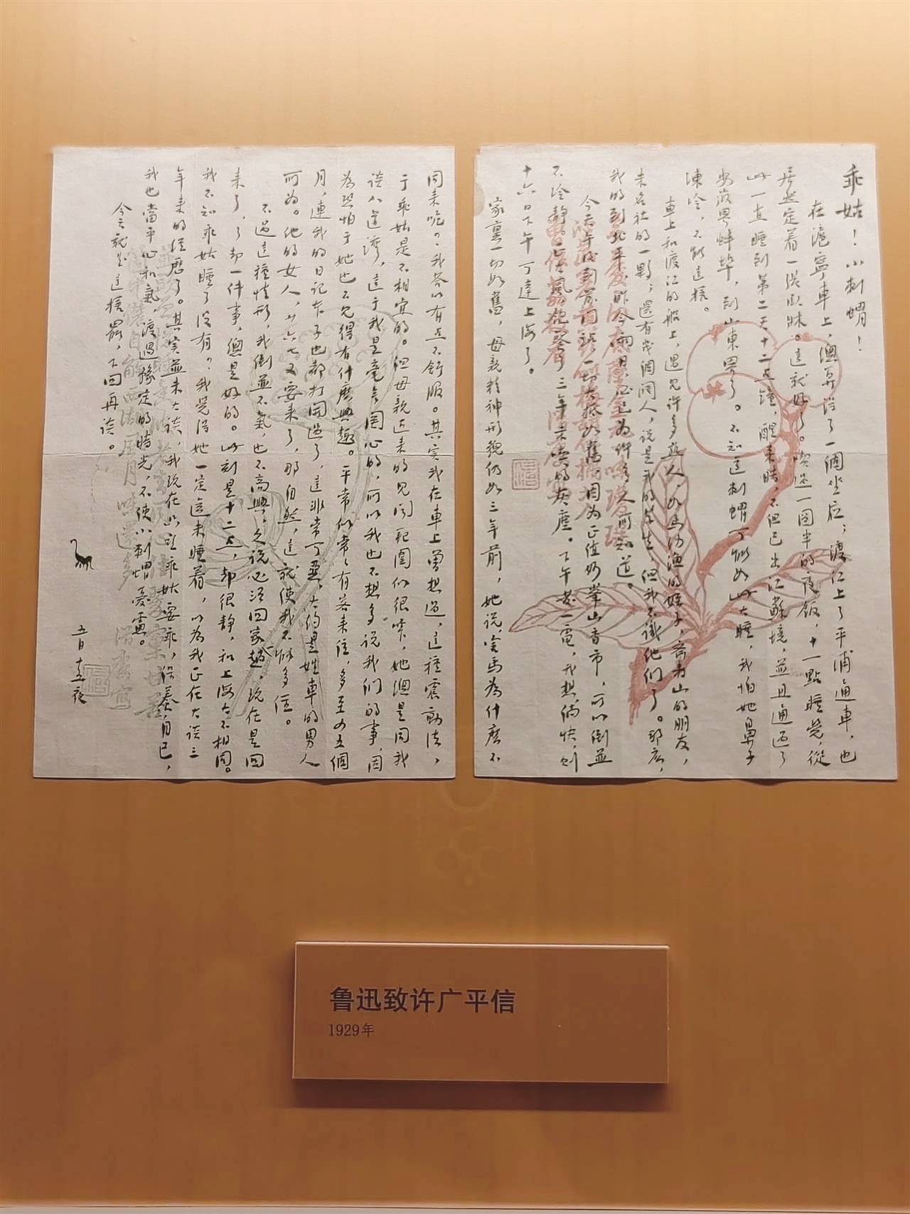 “莲蓬”“枇杷”情书 在江城走进鲁迅的艺术世界