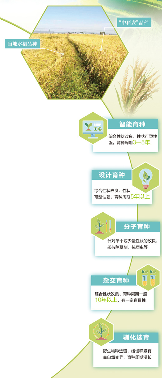 院士讲科普：生命编程，让每粒种子拥有“智慧”