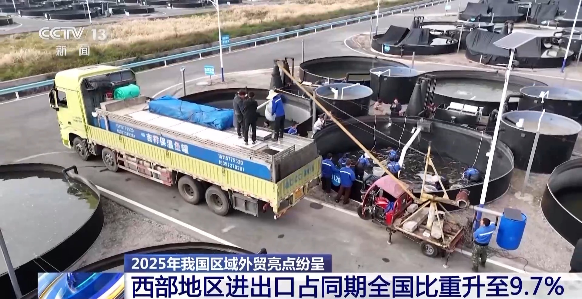 丨“压舱石”更稳固 2025年我国区域外贸亮点纷呈(图7)