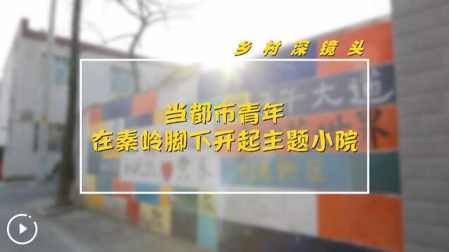 乡村深镜头丨当都市青年在秦岭脚下开起主题小院