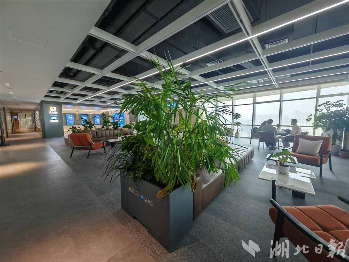 武汉观察丨一个人、一套AI工具成就一个创业新世界  全球OPC起跑线上，武汉如何拥抱新浪潮？