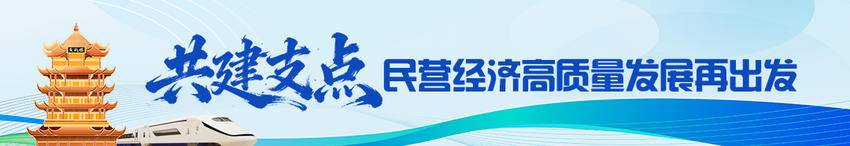 聚势求变 攀高向新 湖北民营企业拓展新技术新业态新模式