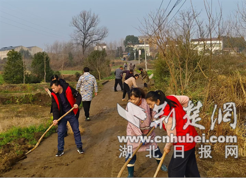 京山市“清洁家园”百日攻坚行动取得显著成效
