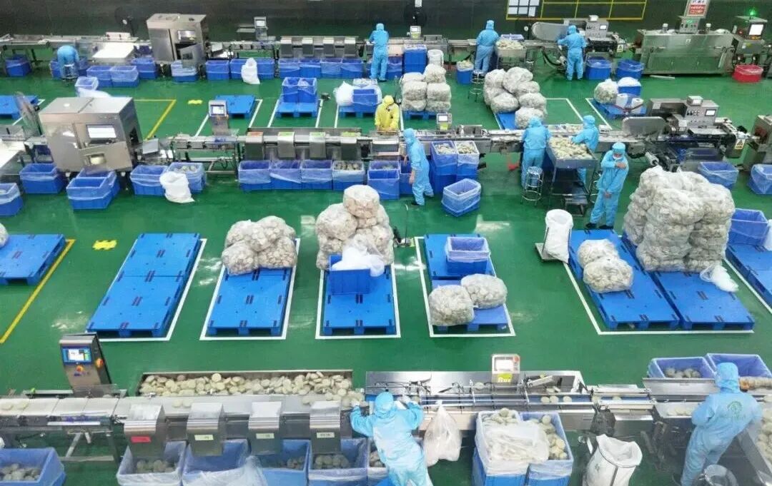 开年即冲刺！安陆这家企业凭科技赋能，让一碗米粉香飘全国