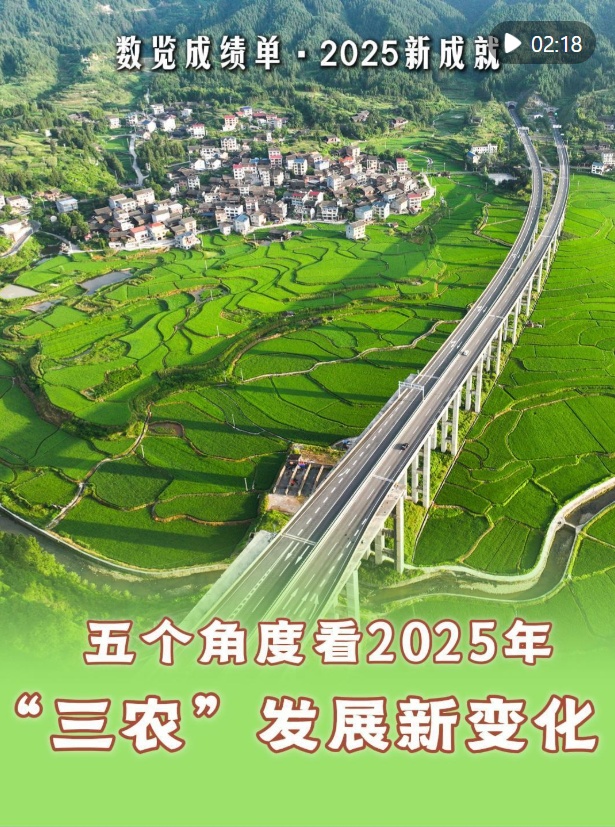 数览成绩单·2025新成就｜成绩喜人，五个角度看2025年“三农”发展新变化