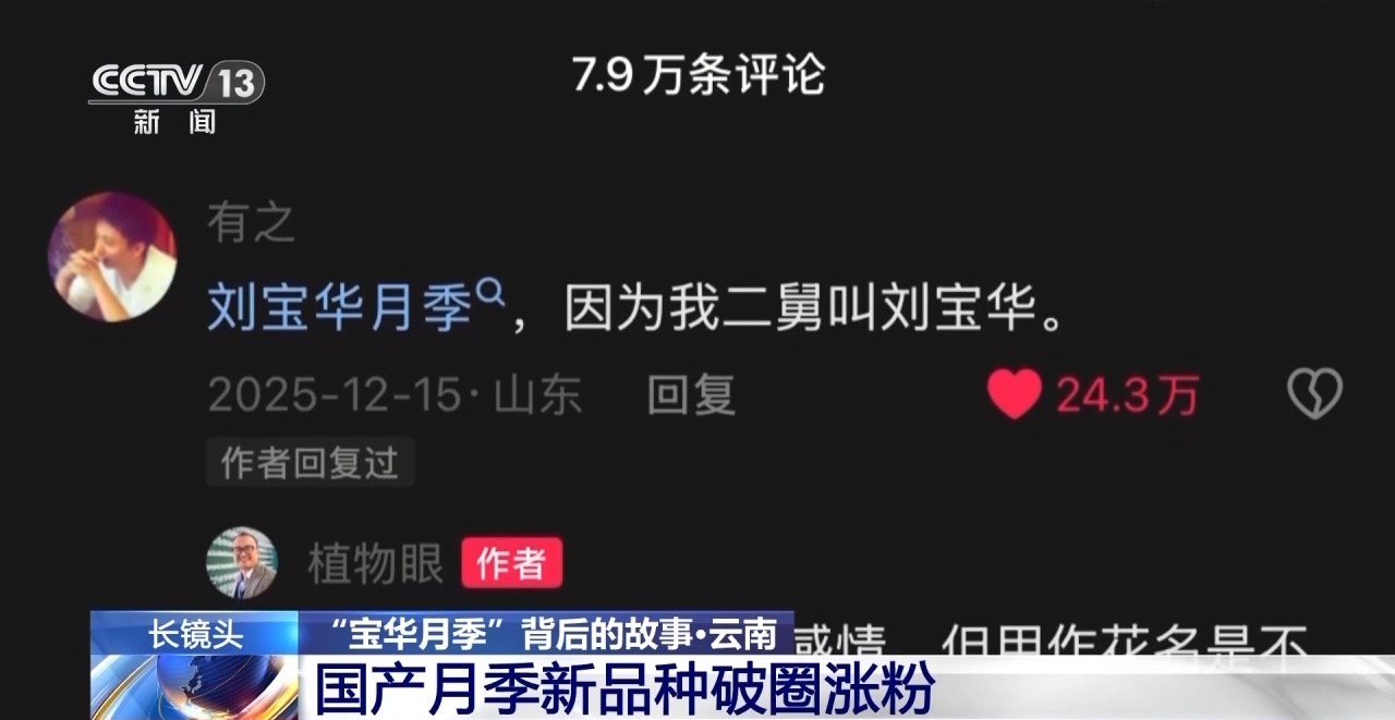 视频丨征名破圈 国产月季走出自己的“命名美学”