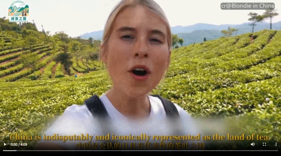 【澜湄之窗】一杯普洱 茶香氤氲