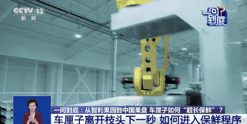 运输耗时近一个月,进口车厘子如何保鲜?