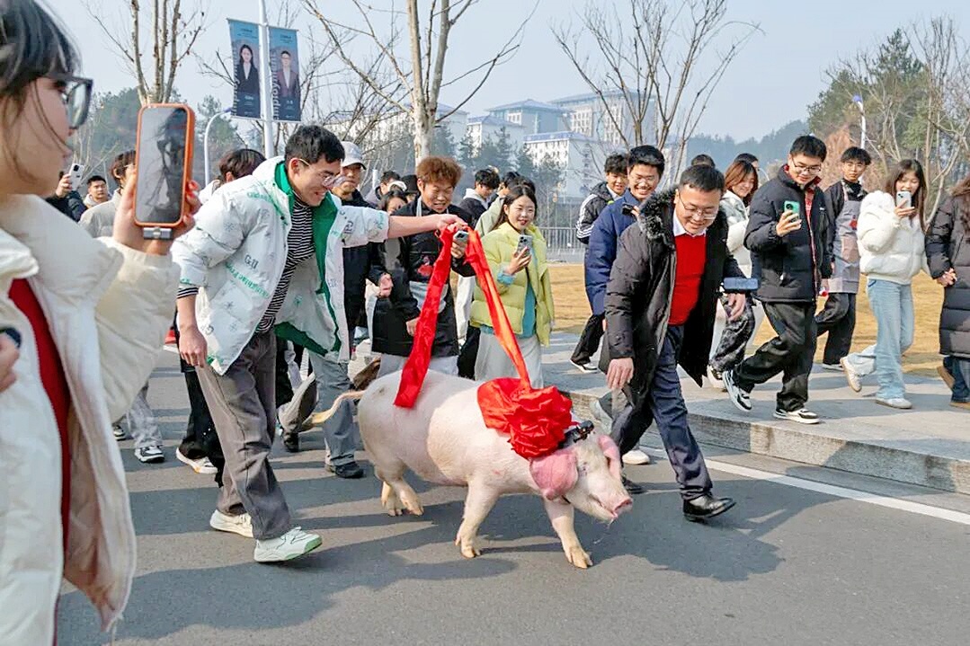  恩施一高校老师请学生吃刨汤宴 现场直播吸引超百万网友“云吃席”