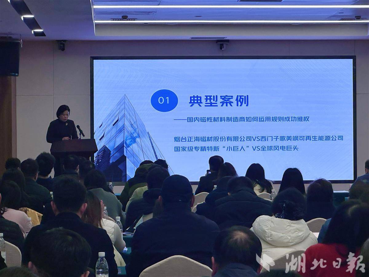  从“产品出海”迈向“产业出海”，湖北举办制造业企业出海对接会