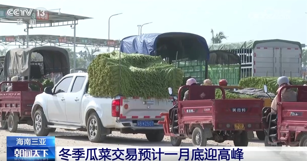 百姓“菜篮子”物丰量足“鲜”味浓 土特产点燃“年货经济”新引擎