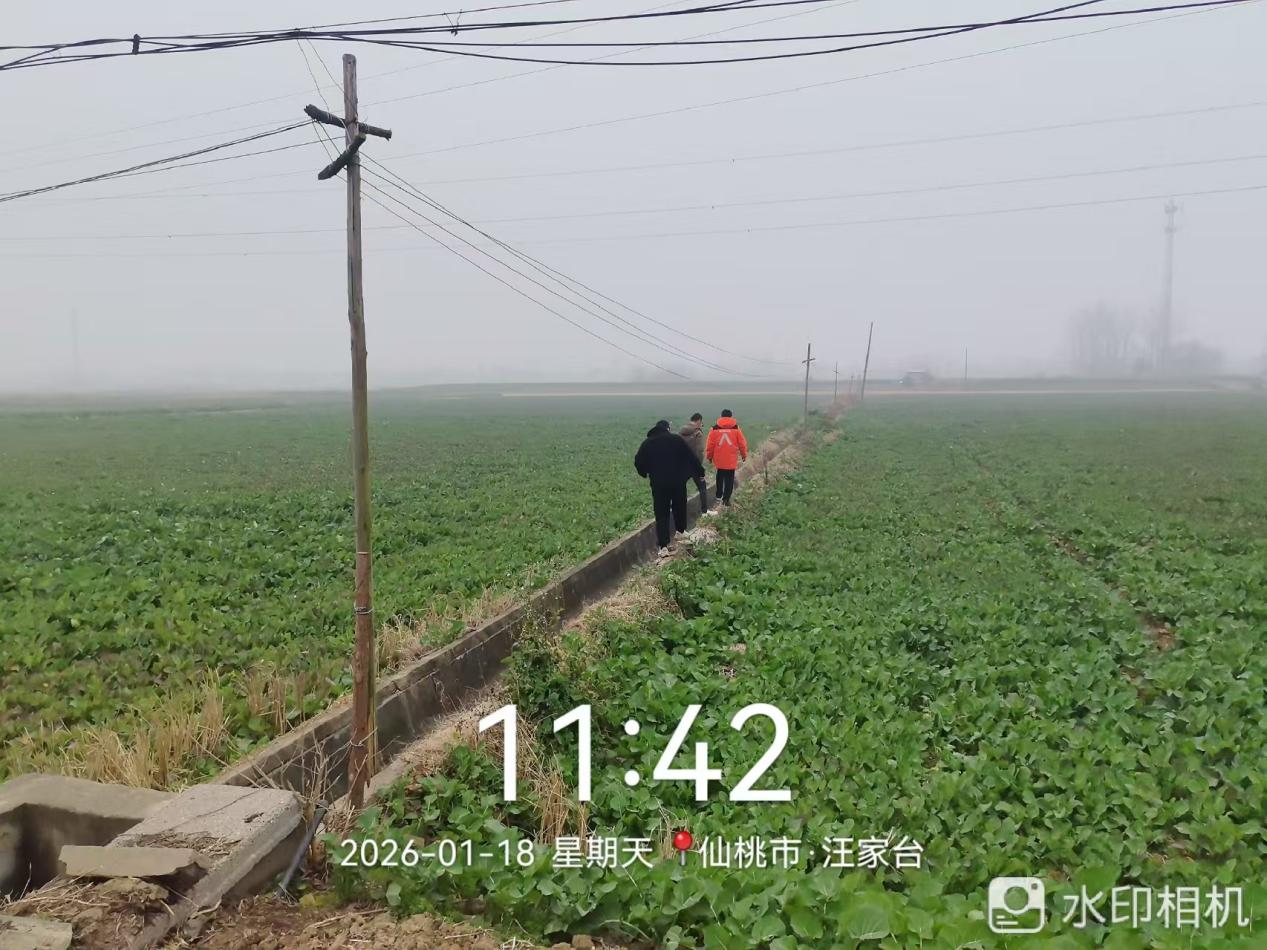 平安产险湖北分公司仙桃中支：闻“雪”而动 多线齐发  构筑农险、团财、车险立体防灾网