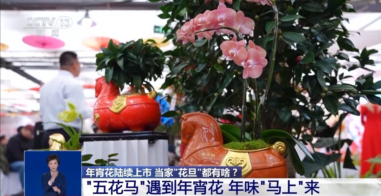 掌上呼和浩特新闻网