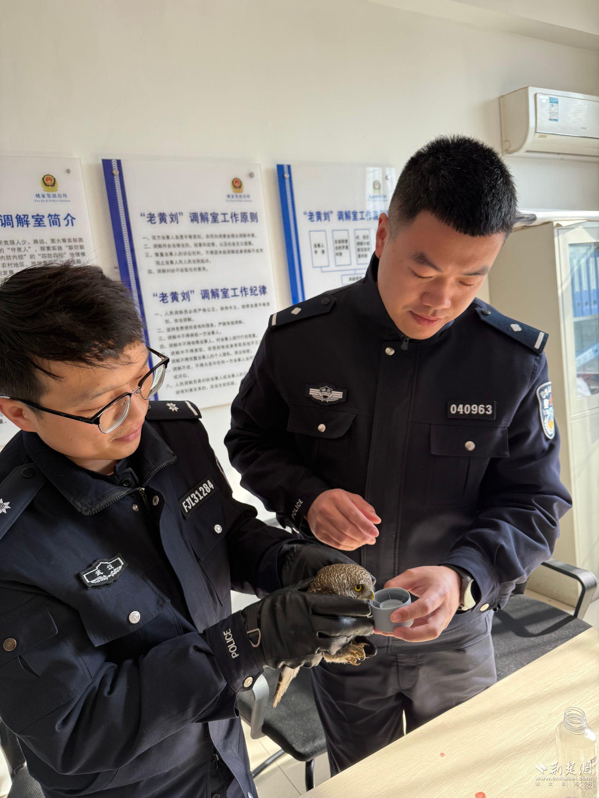 “萌禽”误闯辅警家，警民联手暖心救助