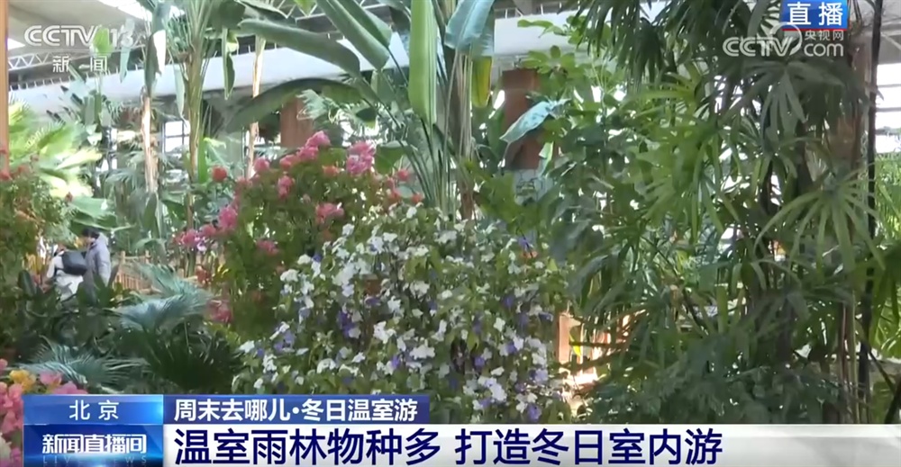  室内游升温、研学游正当时 文旅“热”让“冬日经济”多点开花、活力迸发